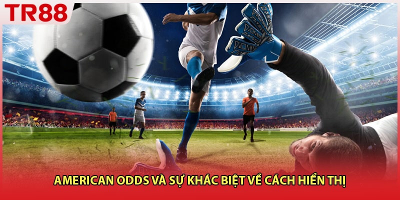 American odds và sự khác biệt về cách hiển thị