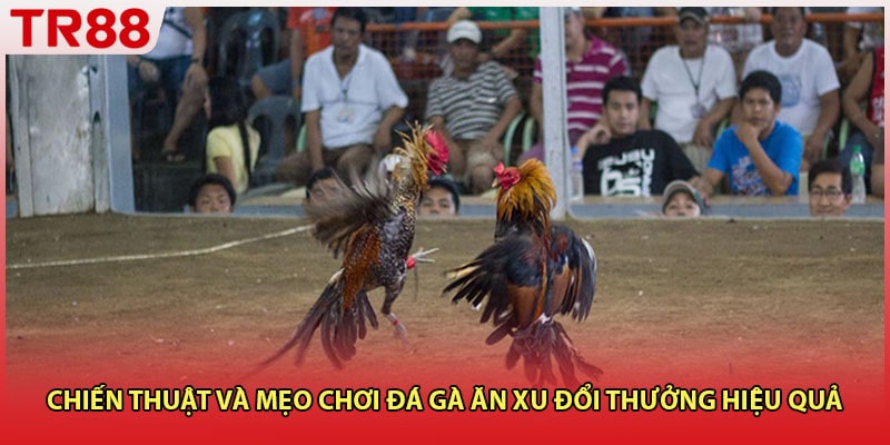 Chiến thuật và mẹo chơi đá gà ăn xu đổi thưởng hiệu quả
