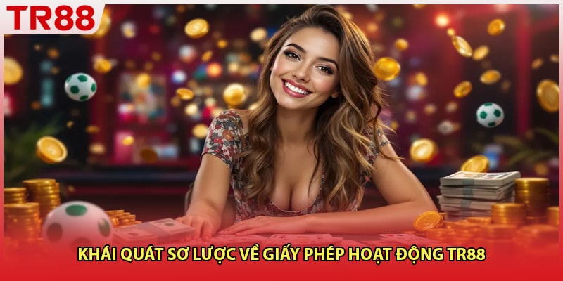 Khái quát sơ lược về giấy phép hoạt động TR88
