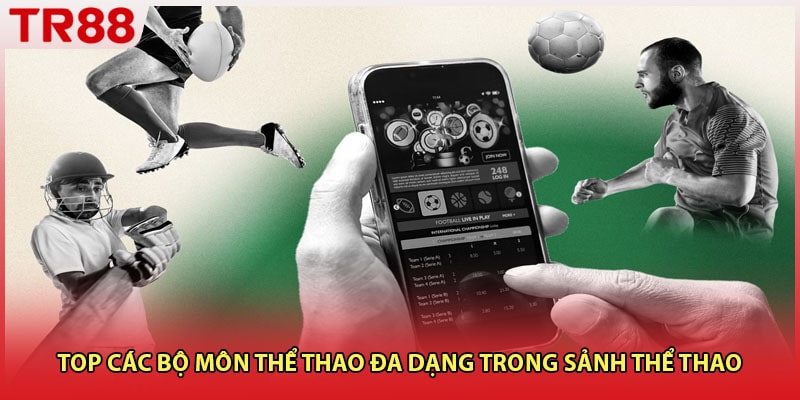 Top các bộ môn thể thao đa dạng trong sảnh thể thao 
